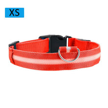 Load image into Gallery viewer, LED Glowing Dog Collar Luminous Collar Adjustable Dog Night Light Collar Pet Safety Collar For Small Dogs Cat Dog Accessories