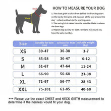 Load image into Gallery viewer, Dog Harness No Pull Reflective Breathable Pet Harness With Name For Dogs Custom Patch Adjustable Outdoor Walking Dog Supplies