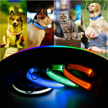 Load image into Gallery viewer, LED Pet Dog Cat Collar Luminous Safety Glow Necklace Flashing Lighting Up Collars For Puppy Cat Pet Supplies Cat Collars