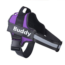 Load image into Gallery viewer, Dog Harness No Pull Reflective Breathable Pet Harness With Name For Dogs Custom Patch Adjustable Outdoor Walking Dog Supplies