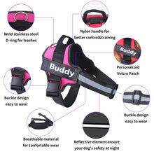 Load image into Gallery viewer, Dog Harness No Pull Reflective Breathable Pet Harness With Name For Dogs Custom Patch Adjustable Outdoor Walking Dog Supplies