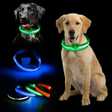 Load image into Gallery viewer, LED Glowing Dog Collar Luminous Collar Adjustable Dog Night Light Collar Pet Safety Collar For Small Dogs Cat Dog Accessories