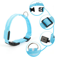 Load image into Gallery viewer, LED Pet Dog Cat Collar Luminous Safety Glow Necklace Flashing Lighting Up Collars For Puppy Cat Pet Supplies Cat Collars