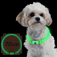 Load image into Gallery viewer, New LED Dog Collar TPU USB Rechargeable Lighting Collar Glowing Luminous Night Safety Flashing Glow Collar Leads для собак