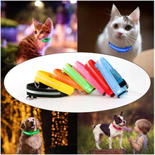 Load image into Gallery viewer, LED Pet Dog Cat Collar Luminous Safety Glow Necklace Flashing Lighting Up Collars For Puppy Cat Pet Supplies Cat Collars