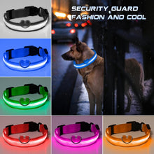 Load image into Gallery viewer, LED Glowing Dog Collar Luminous Collar Adjustable Dog Night Light Collar Pet Safety Collar For Small Dogs Cat Dog Accessories