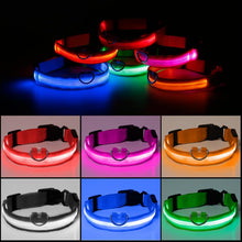 Load image into Gallery viewer, LED Pet Dog Cat Collar Luminous Safety Glow Necklace Flashing Lighting Up Collars For Puppy Cat Pet Supplies Cat Collars