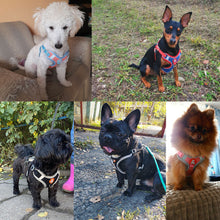 Load image into Gallery viewer, Pet Dog harness No Pull Breathable Reflective Dog harness and Leash Set Adjustable Harness Dog For kitten Puppy Pet accessories