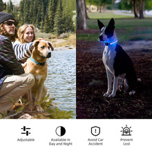 Load image into Gallery viewer, LED Dog Collar USB Rechargeable Bright &amp; High Visibility Lighted Glow Collar for Pet Night Walking Adjustable Luminous Collar