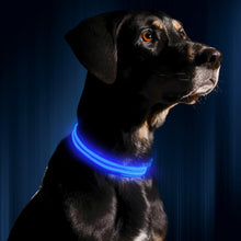 Load image into Gallery viewer, LED Dog Collar USB Rechargeable Bright &amp; High Visibility Lighted Glow Collar for Pet Night Walking Adjustable Luminous Collar