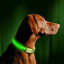 Load image into Gallery viewer, LED Dog Collar USB Rechargeable Bright &amp; High Visibility Lighted Glow Collar for Pet Night Walking Adjustable Luminous Collar