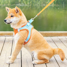 Load image into Gallery viewer, Pet Dog harness and leash set Reflective Breathable Harness Dog Adjustable Comfort Puppy harness outdoors travel Pet Supplies