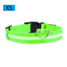 Load image into Gallery viewer, LED Glowing Dog Collar Luminous Collar Adjustable Dog Night Light Collar Pet Safety Collar For Small Dogs Cat Dog Accessories
