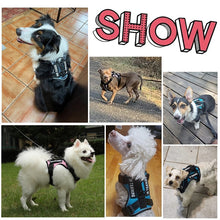 Load image into Gallery viewer, Dog Harness No pull Reflective Tactical Harness Vest for Small Large Pet Dogs Walking Training Outdoor Dog Supplies Free Patches