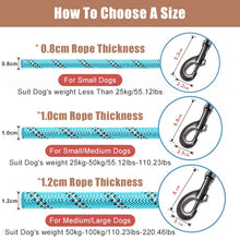 Load image into Gallery viewer, Strong Nylon Dog Leash Labrador French bulldog Harness Leashes  Reflective Leash Training Safety Dog Leashes Ropes 150/200/300cm