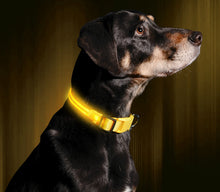 Load image into Gallery viewer, LED Dog Collar USB Rechargeable Bright &amp; High Visibility Lighted Glow Collar for Pet Night Walking Adjustable Luminous Collar