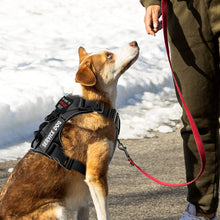 Load image into Gallery viewer, Dog Harness No pull Reflective Tactical Harness Vest for Small Large Pet Dogs Walking Training Outdoor Dog Supplies Free Patches