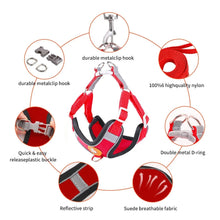 Load image into Gallery viewer, Pet Dog harness No Pull Breathable Reflective Dog harness and Leash Set Adjustable Harness Dog For kitten Puppy Pet accessories